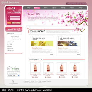 專業(yè)日化洗滌用品網(wǎng)頁(yè)模板設(shè)計(jì)下載與網(wǎng)絡(luò)技術(shù)服務(wù)解析